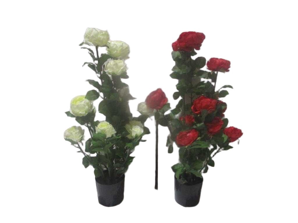 Artificial Plant Rose 12 Flowers Pe, Plastic Pot Moq:200pcs 'cream Red Ass '72cm