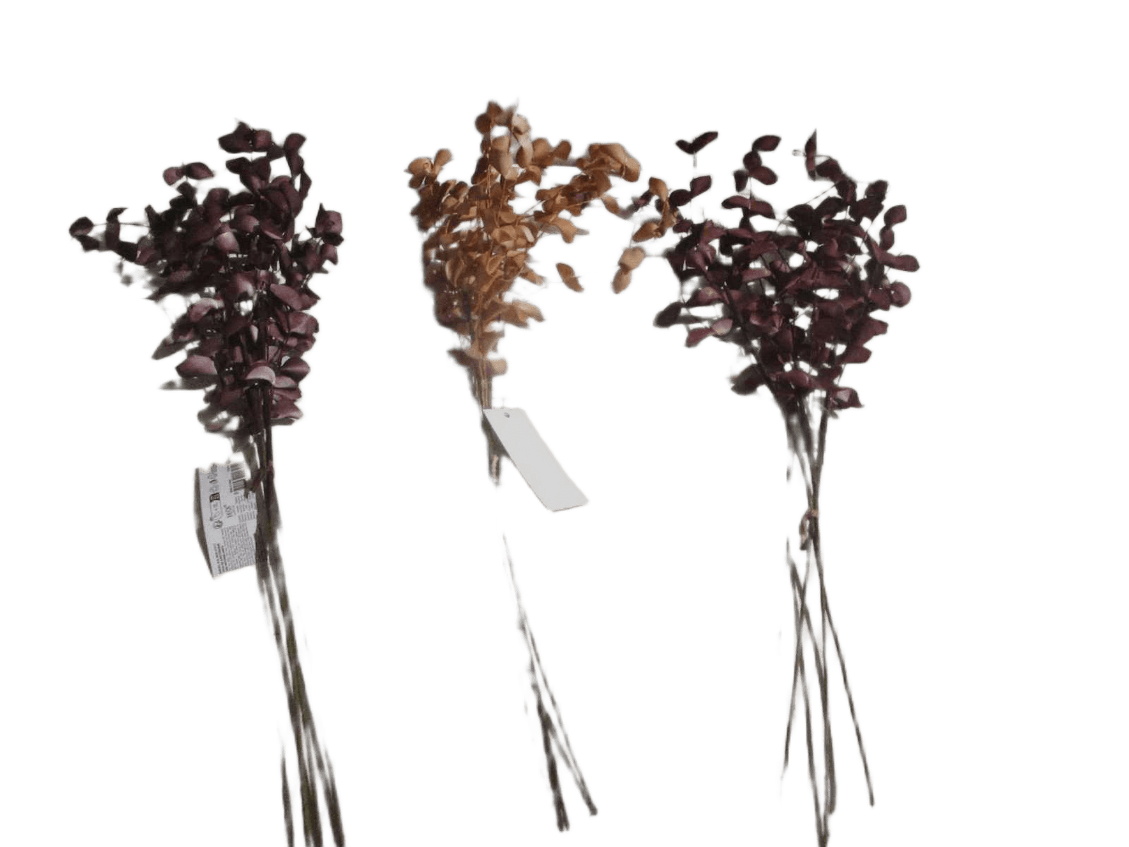 Bundle Branch 3pcs Purple