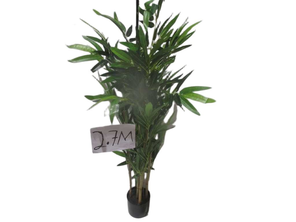 Bamboo In The Pot (12.5x15) 6 Pole Bamboo 2.7m