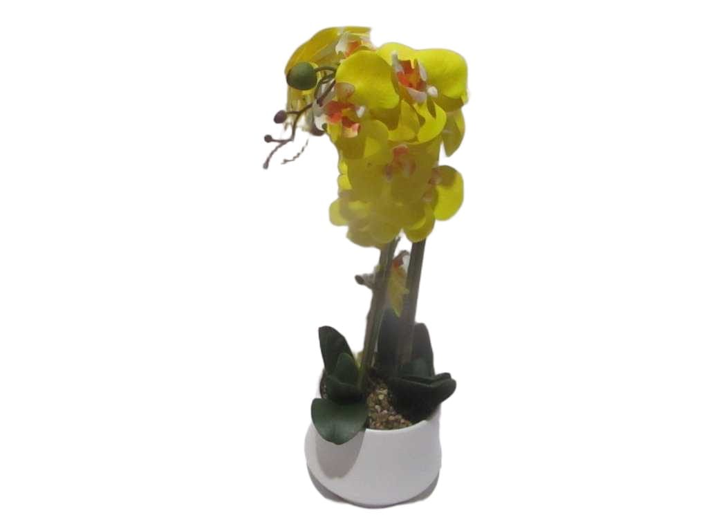 Vase Yellow Orchid Flower Yellow In White D18x15x56