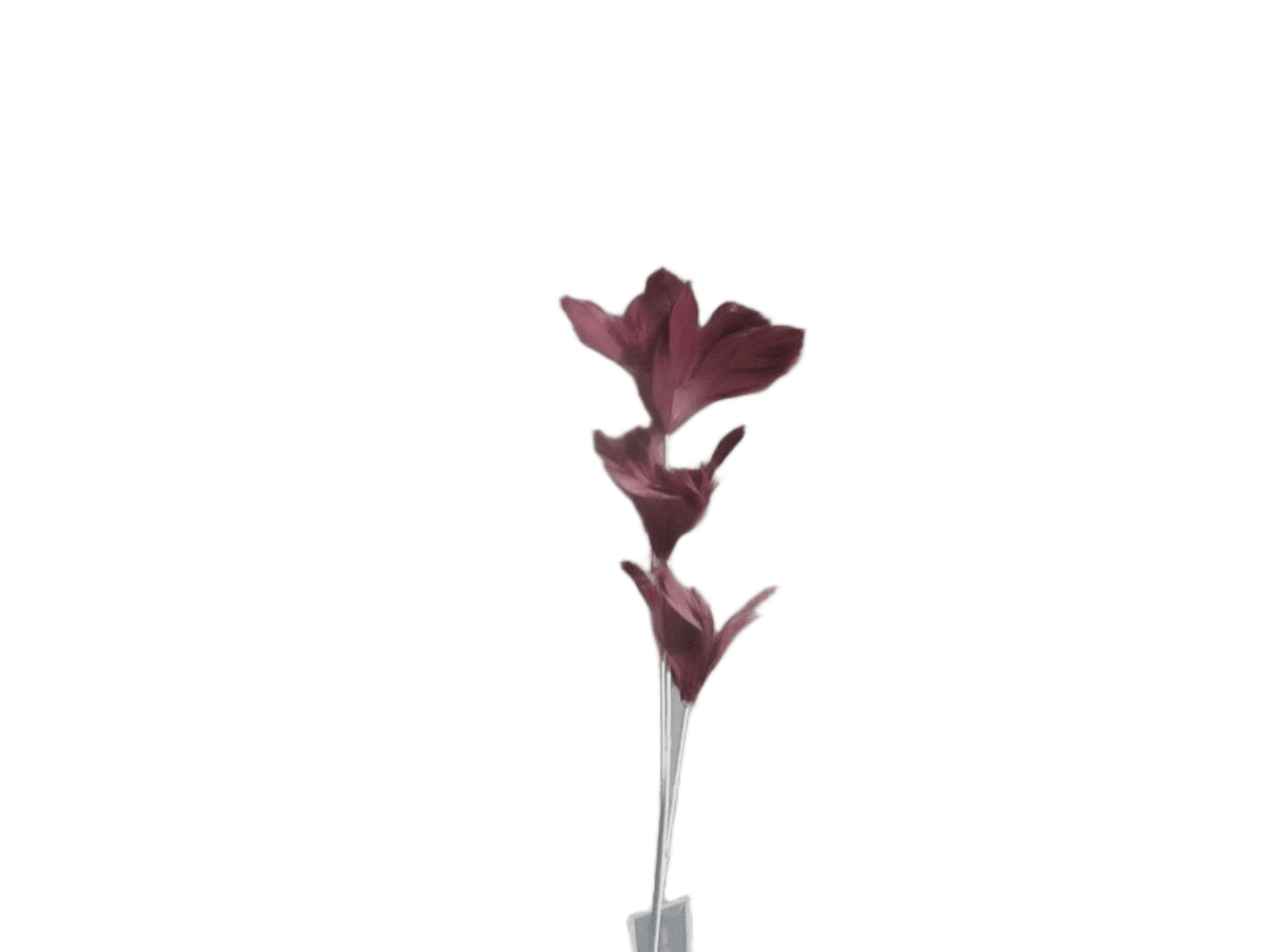 Flower Of Feathers 65cm 3ass