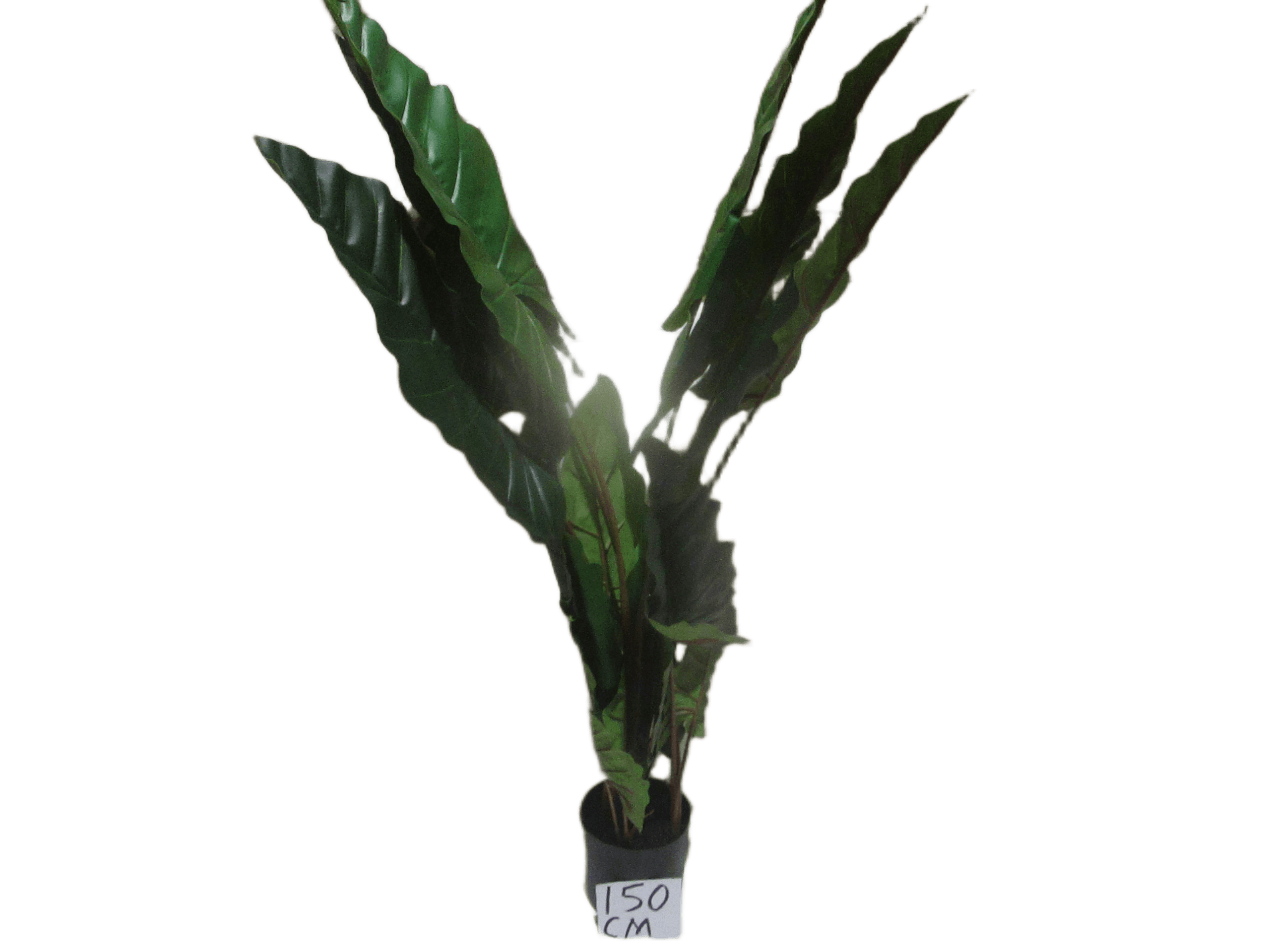 Flower 150cm Real Touch Alocasia Tree,16lvs,in 8"pot 150cm Green