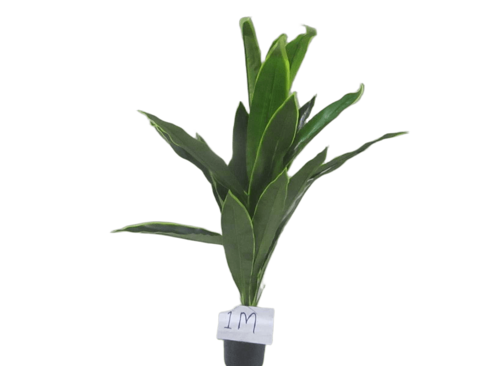 Artificial Plant 1m With Flower Pot 24 Leaves Green Yellow Side1m