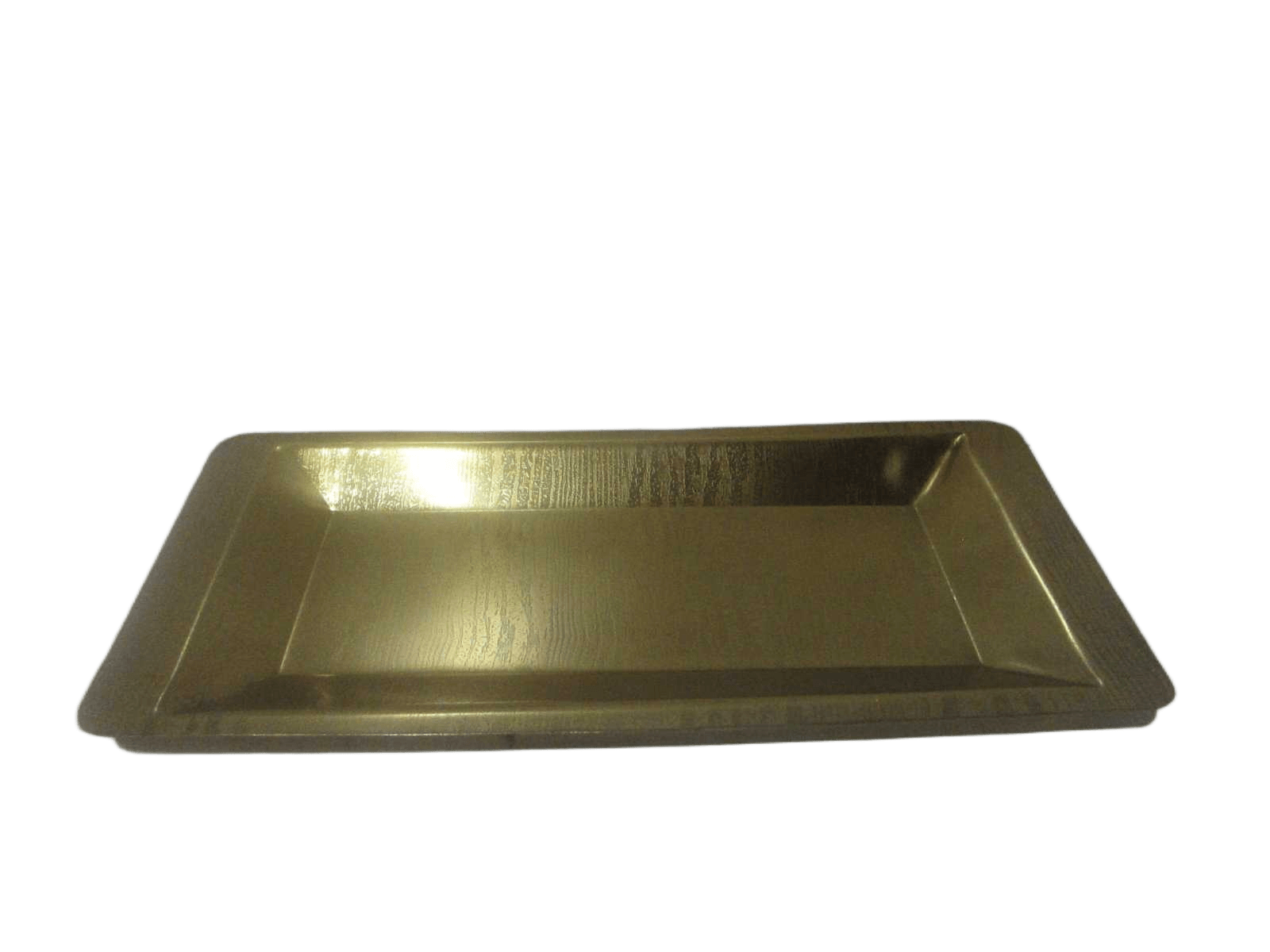 Rectangular Tray Single Wall Stainless Steel Full Lion Skin Texture