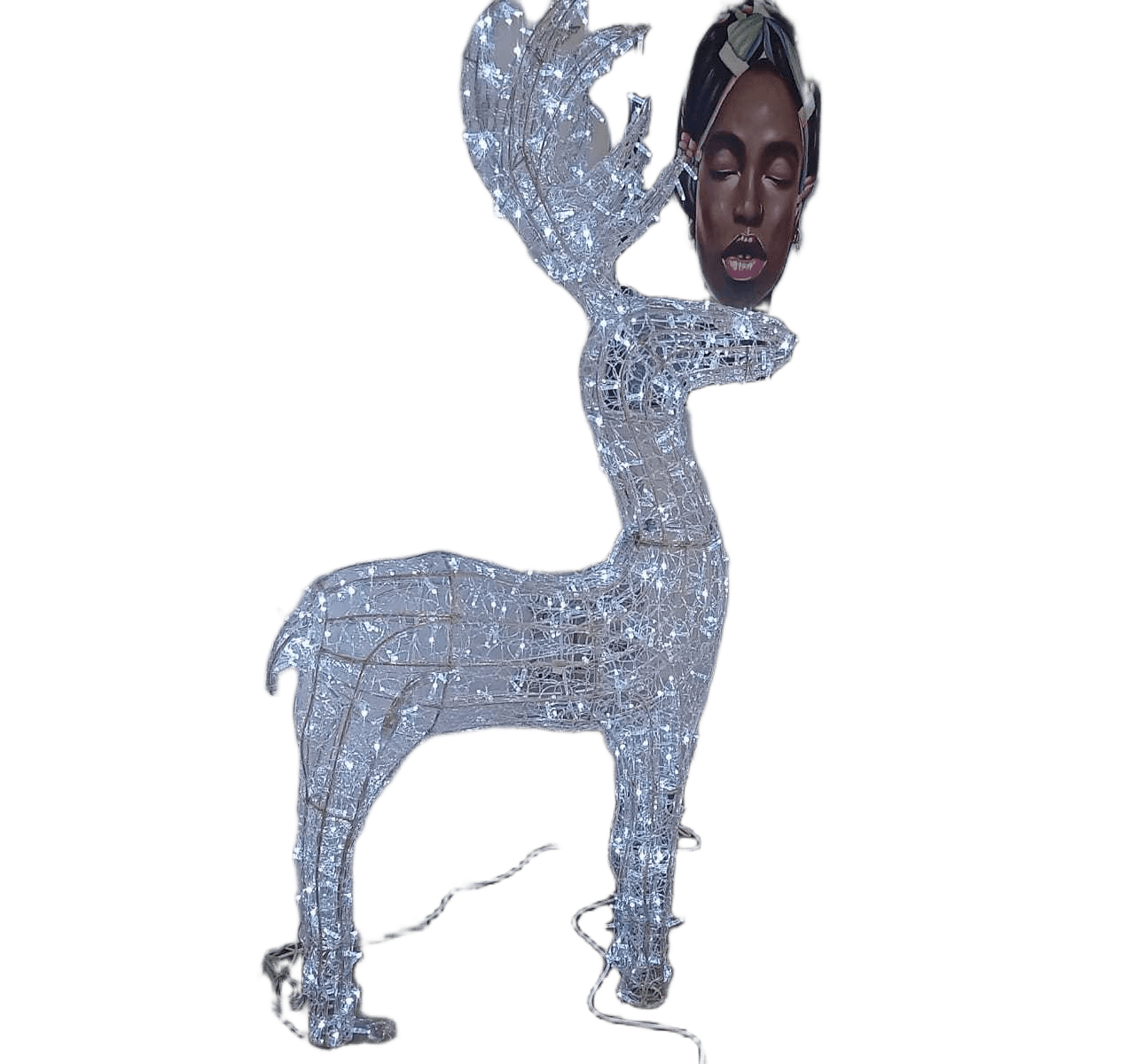 Christmas Deer 3d Stand, H: 2.00m, Aluminium Frame, With Pvc Net, Totally 360 Leds, 24v, With Switch Power,.with Switch Power And Power Cord Ul Plug