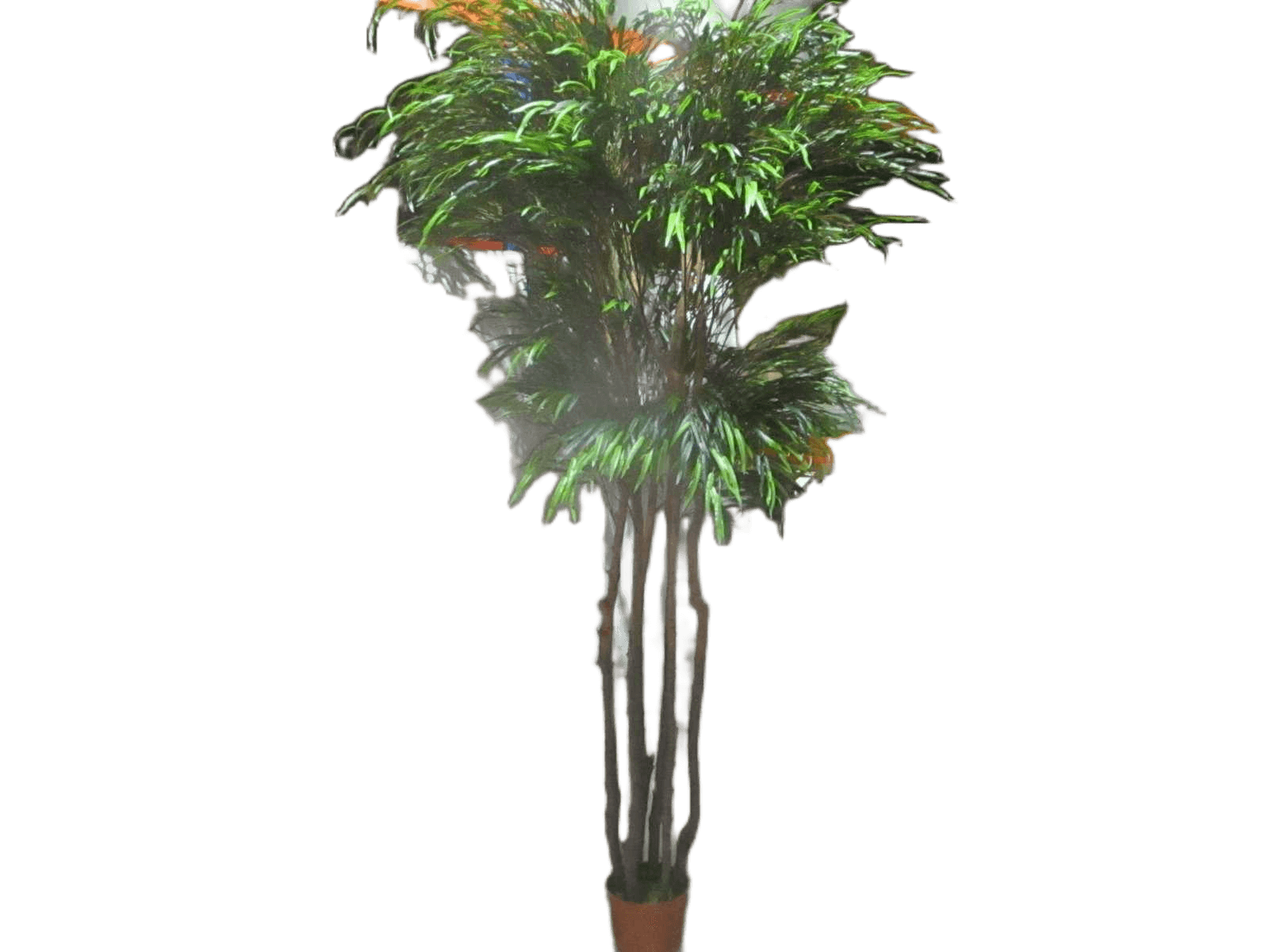 Willow 4320lvs