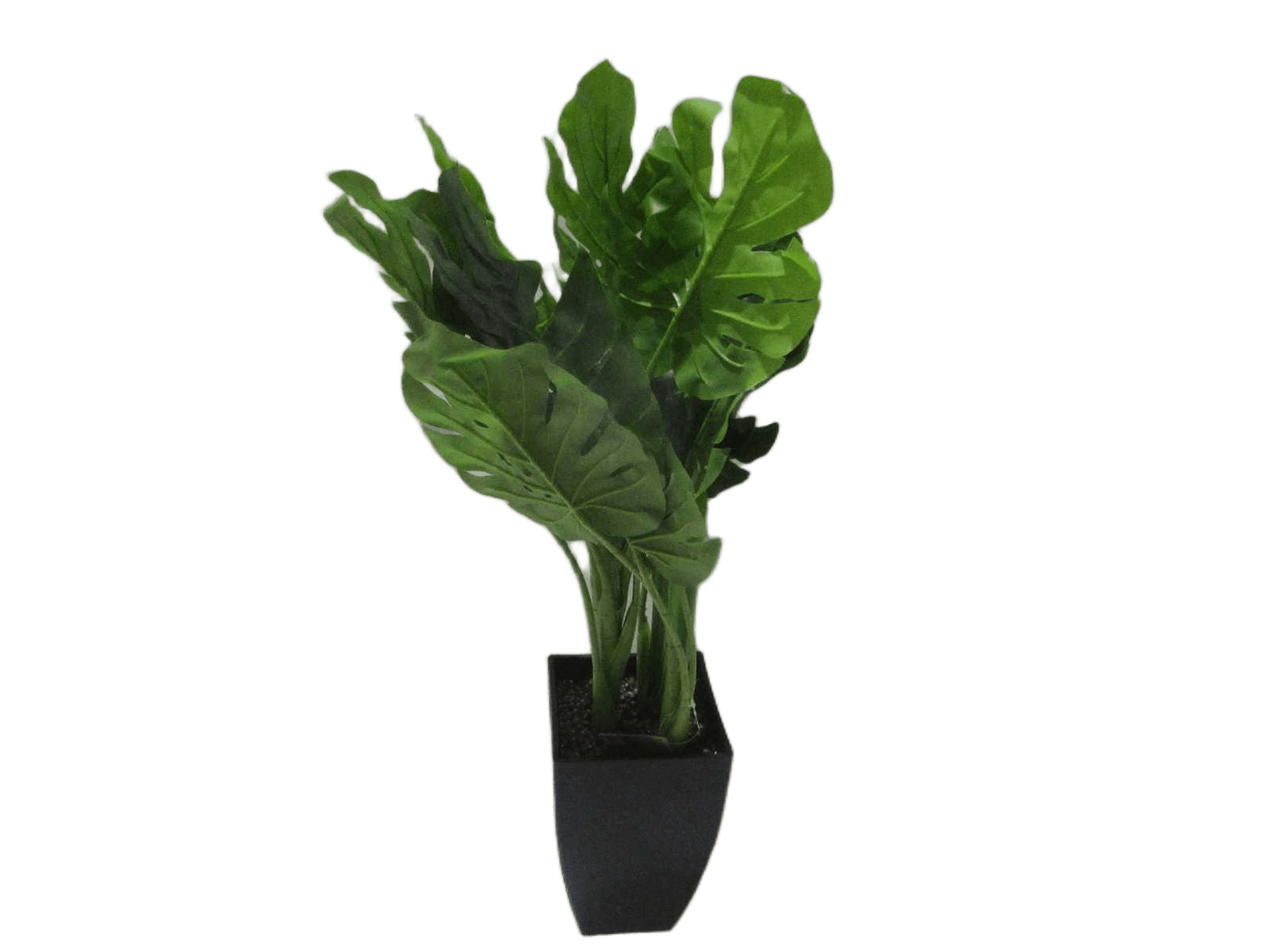 Artificial Plant In Pot 65cm 3ass Styles 1cl=