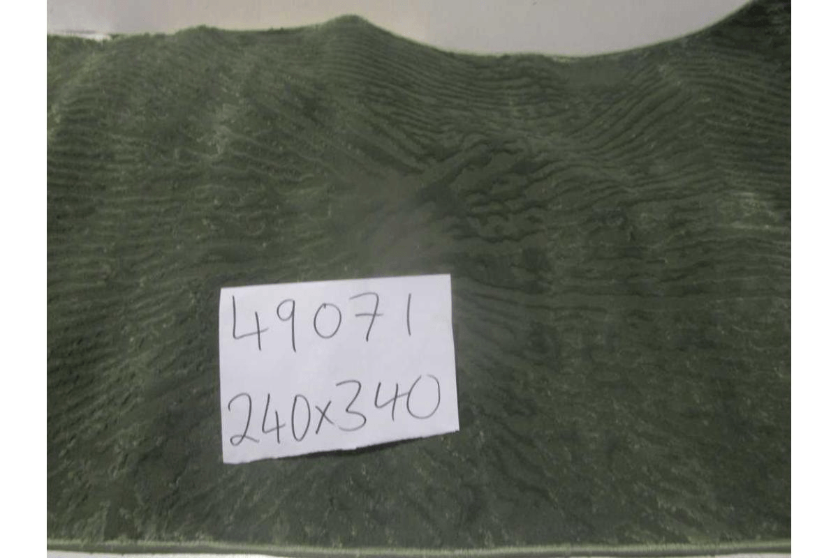 Carpet 240x340 Latte 100 % Polyster 1.750 G/Sqm 12 Mm Pile Height 500.000 Pointe Cotton Backing 3-4% Shrink On Width Washable 26 Green
