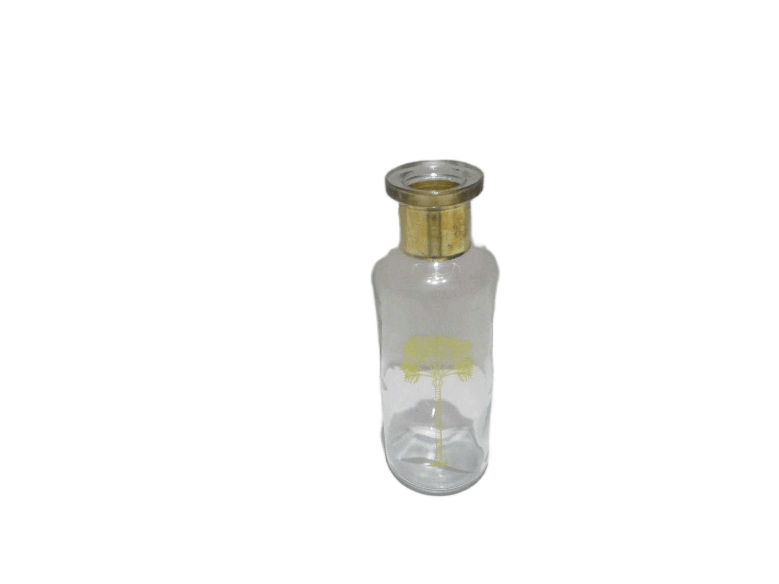 Clear Gls Bottle Vase Bou H22