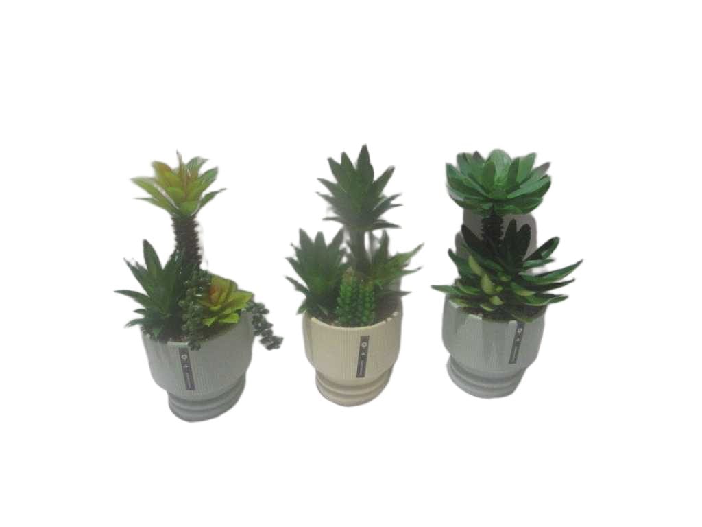 Pot Ceramic Succulent, W 3 Assorted 3 Assorted H27cm