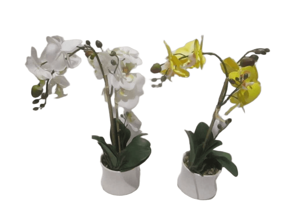 Vase Orchid White Flower And Yellow Flower Assorted White&yellow D11x9x41