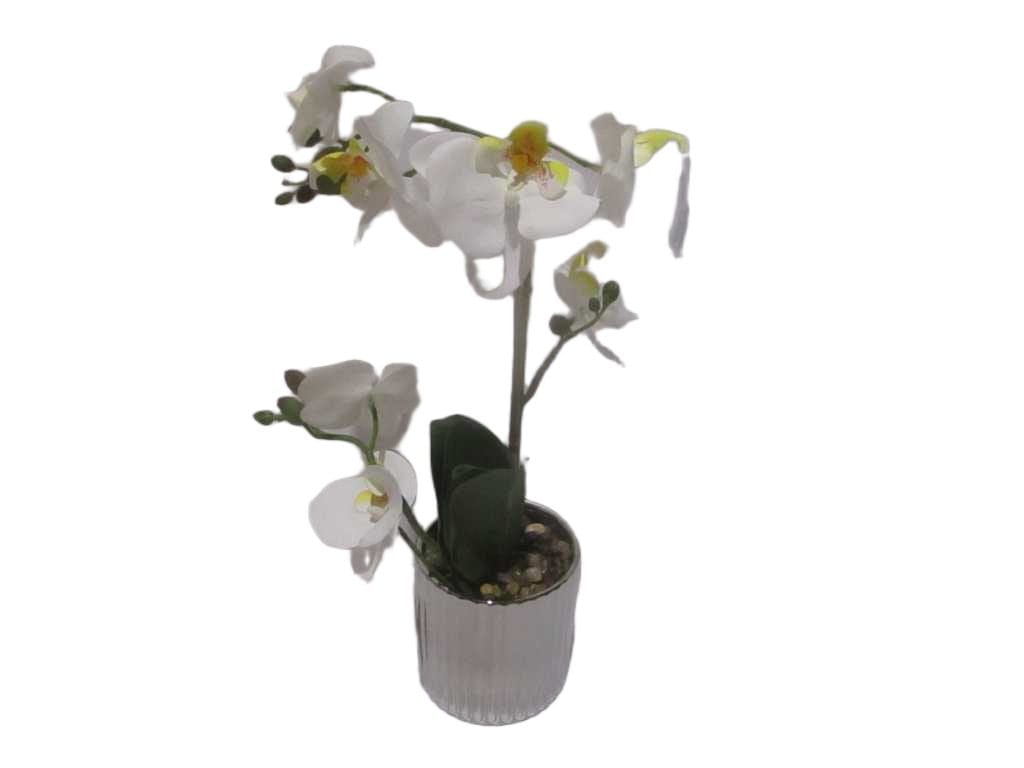 Vase Orchid White Flower Gold And Silver Vase Assorted White D10x10x34