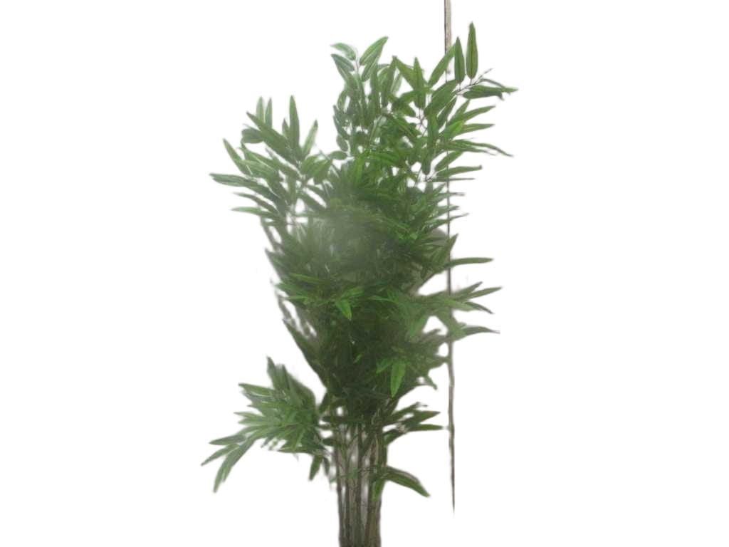 Bamboo Plastic Green 1.6m