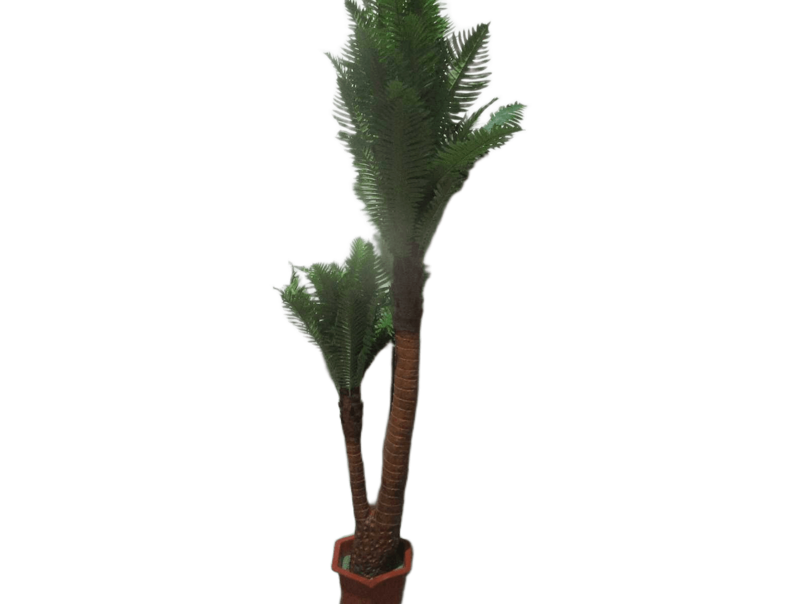 Riches And Honour Fern 64lvs.