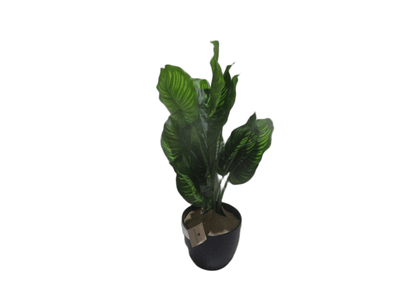 Real Touch Green Plant H45