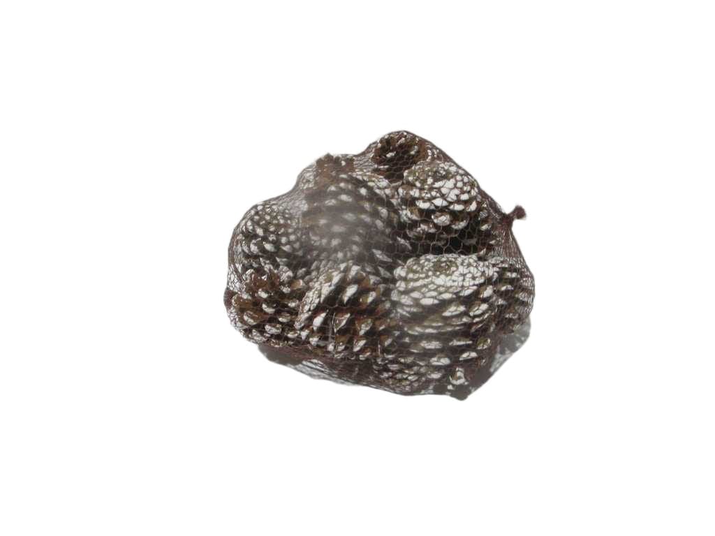 Pinecone Set 300 Gram White