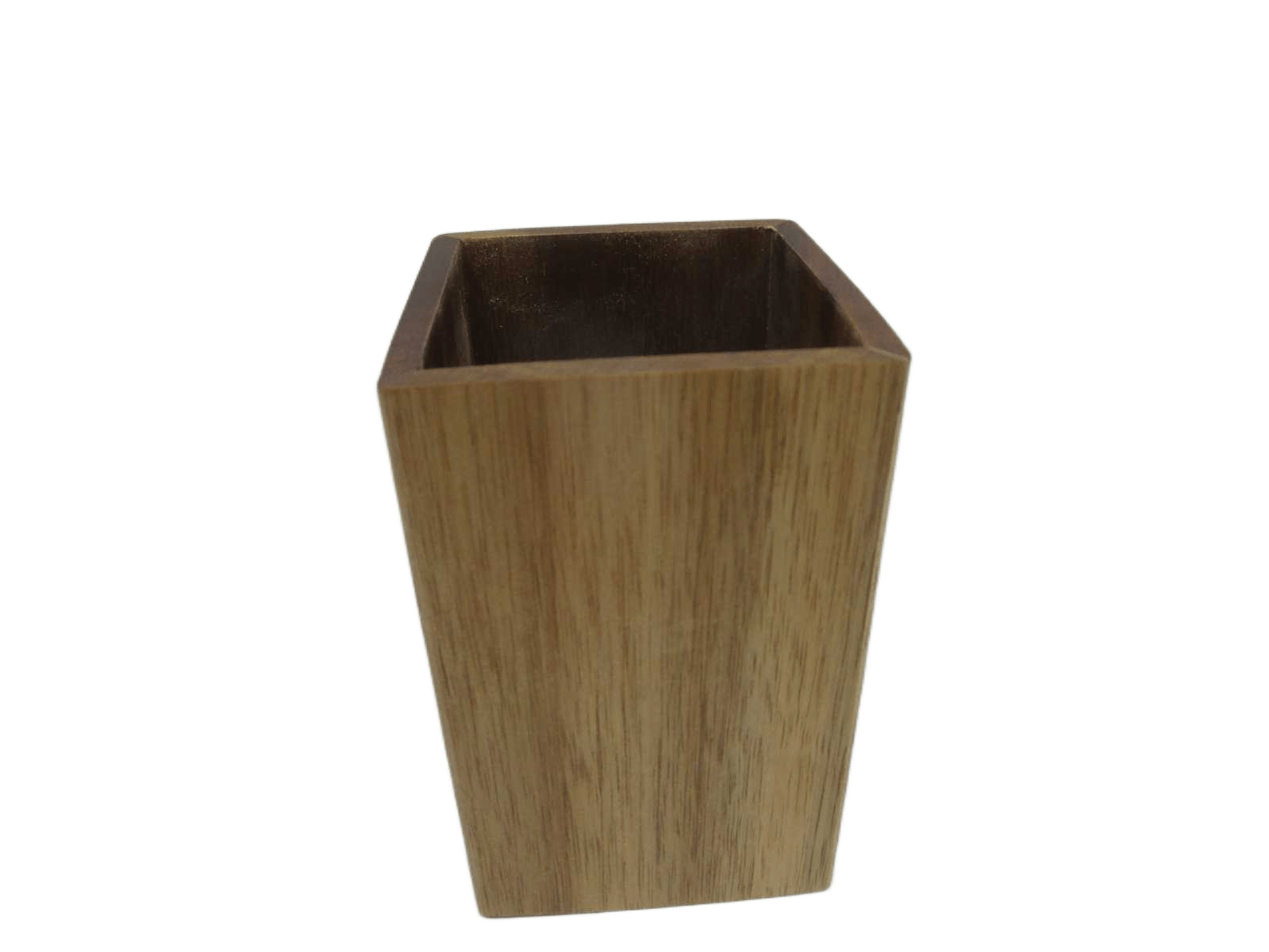 Cup Acacia - Acacia