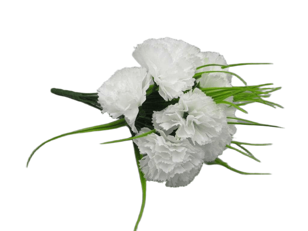 Artificial Carnation X 12