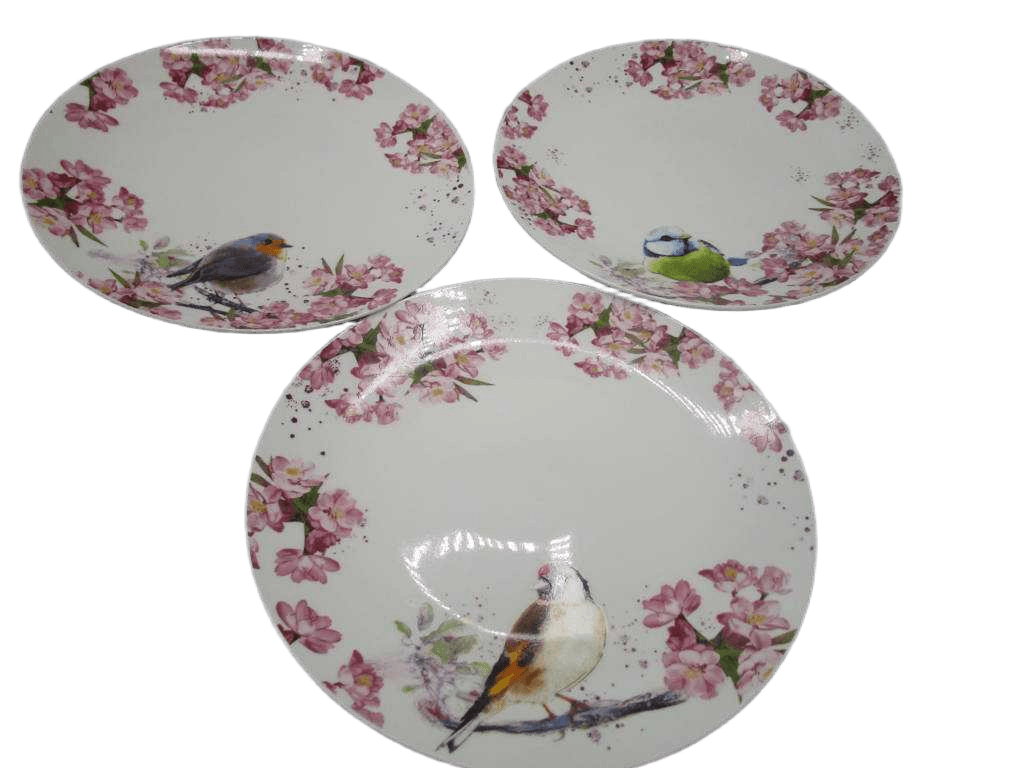 Plate New Bone Porcelain 4ass 1cl=