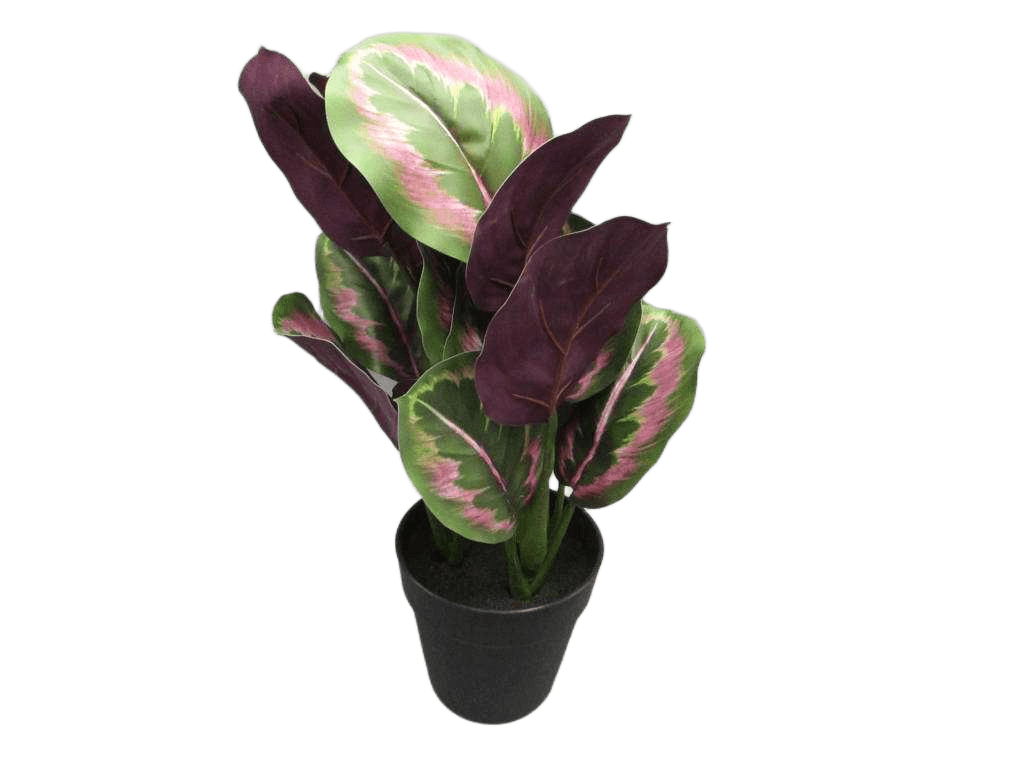 Artificial 41cm Real Touch Calathea X 21 Lvs In Plastic Pot(Pot Size:d14 X H13cm)