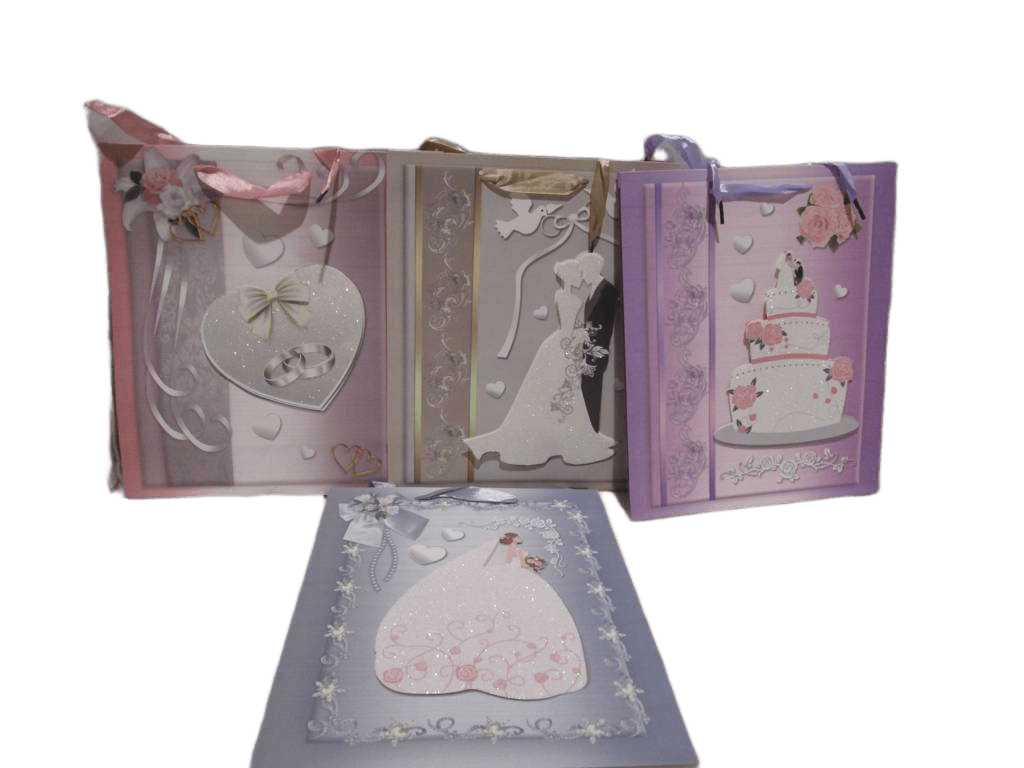 Giftbag Paper Large 4ass