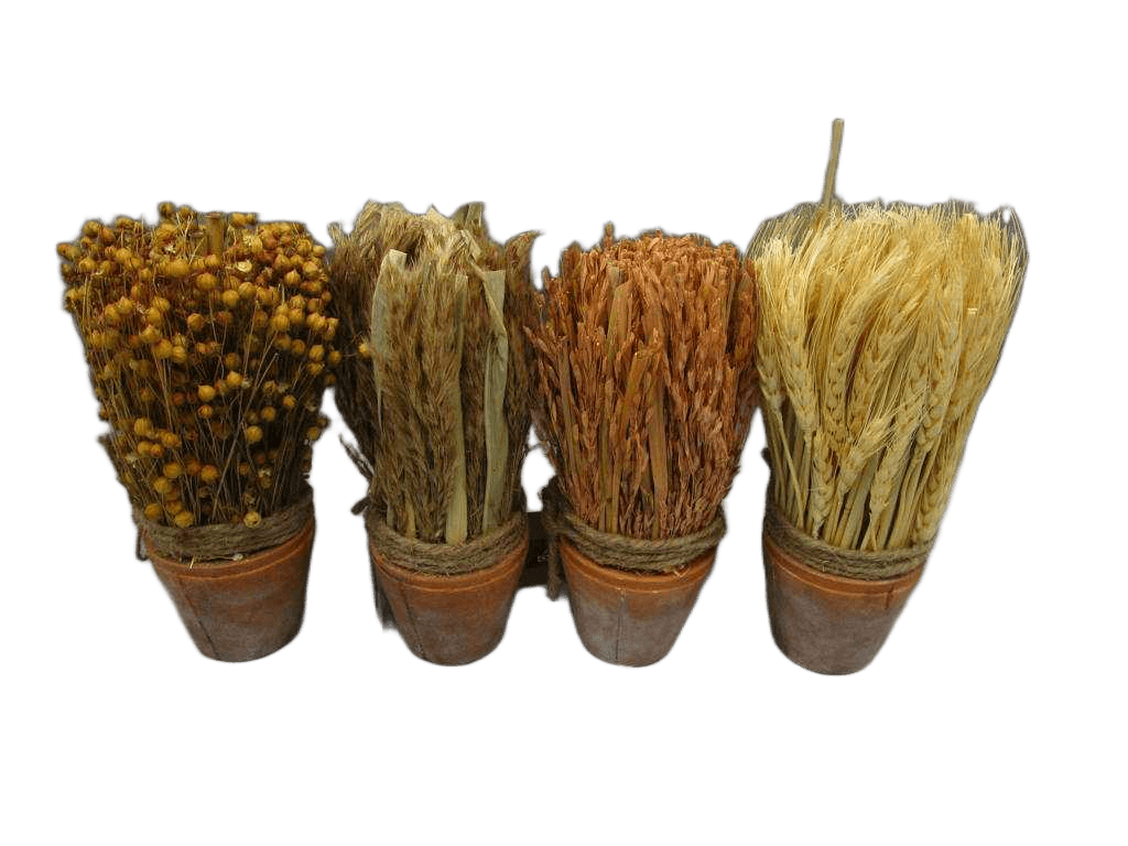 Artificial Harbvest Arrange W/Mix Grass In Terracotta Pot 7.5x20 Cm 1.avana Grass - Lt Brown -2.nanal Plant - Nat -3.tishi Grass -Nat 4.wheat Garss - Bld