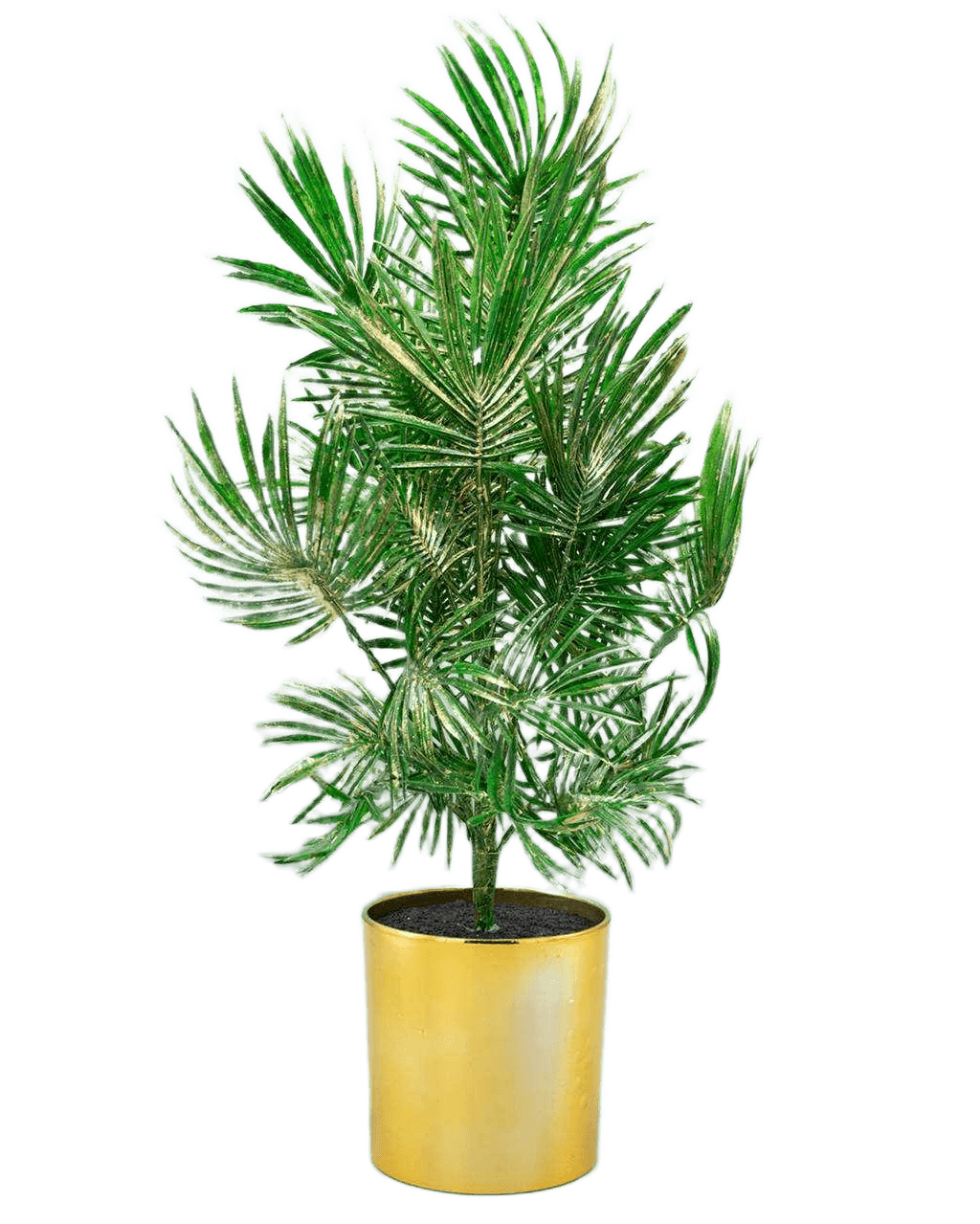 Artificial Flower Sprayed Palm In Pot 51cm