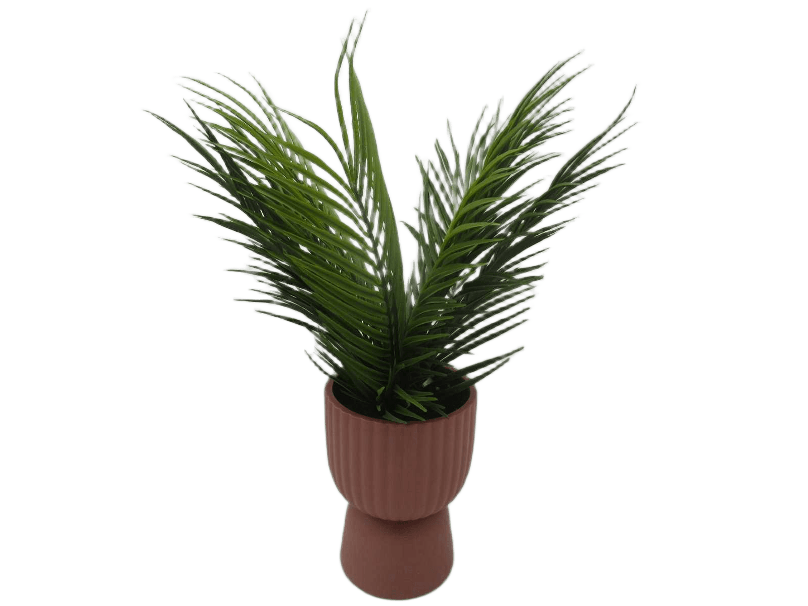 Artificial Chrysalidocarpus In Ceramic Pot
