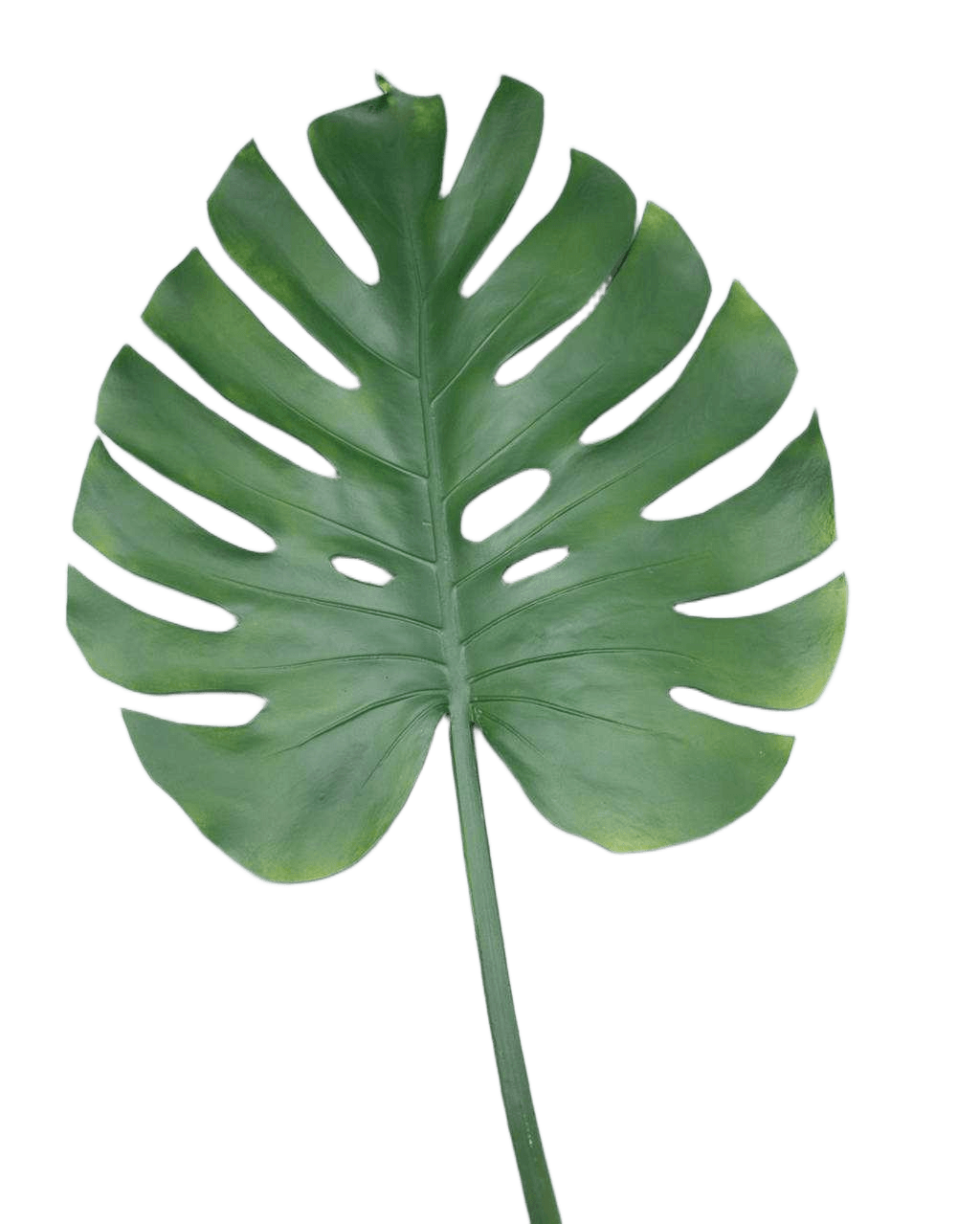 Artificial Monstera Green 41 Cm