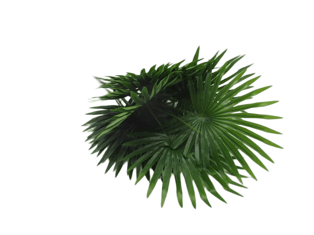 Artificial 70cm Real Touch Fan Palm Bunch X 13 Lvs