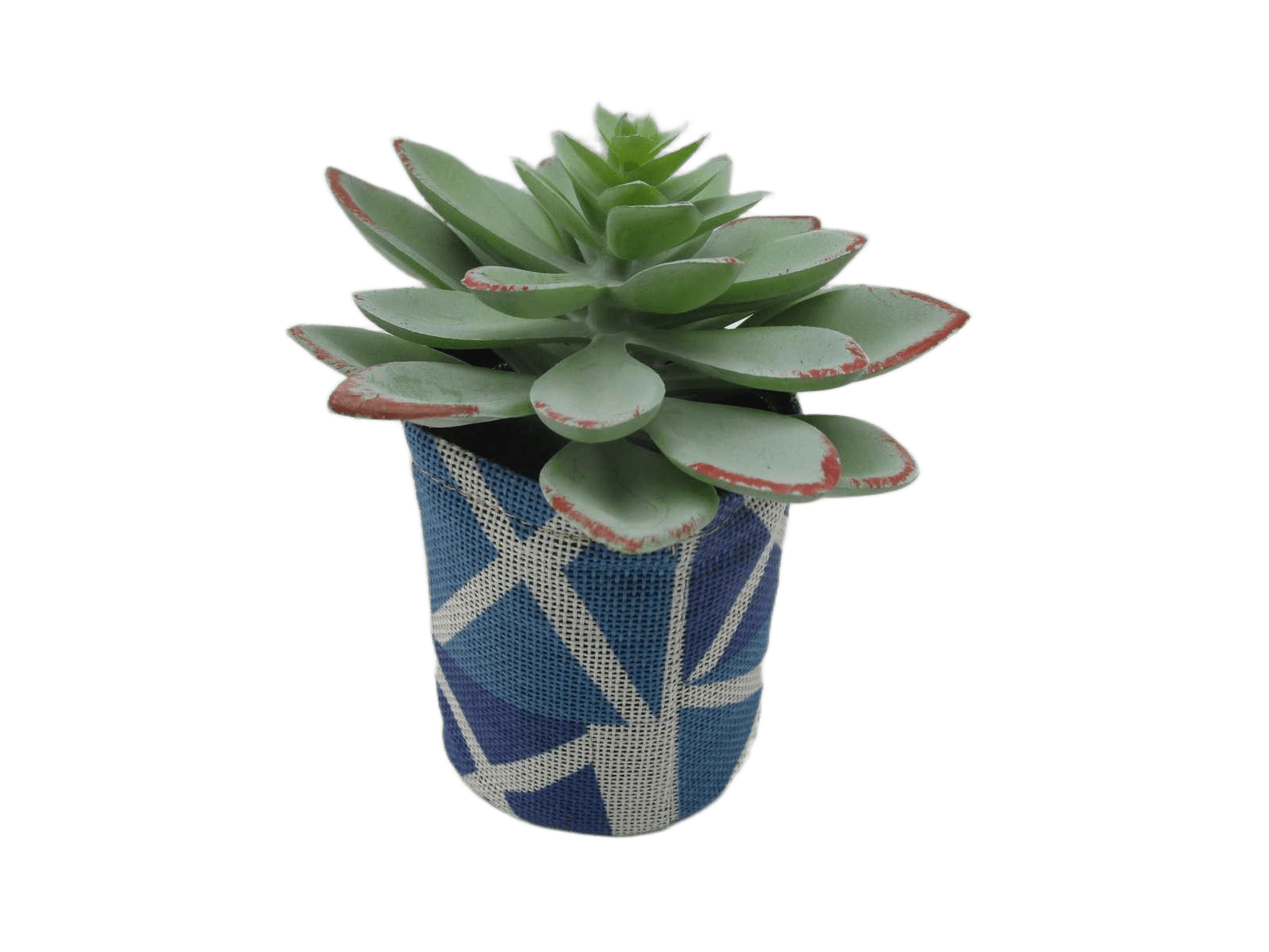 Artificial Succulent In Fabric Bag