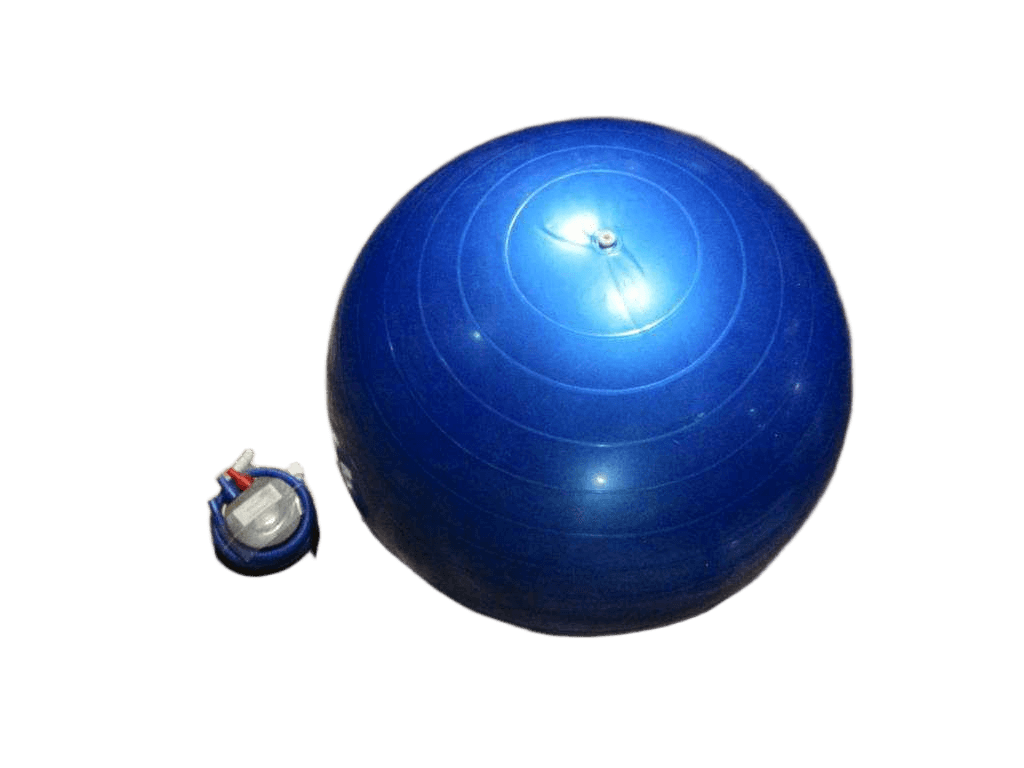 Yoga Ball + Inflator (65cm)random Ass Red/Blue/ Green/ Purple