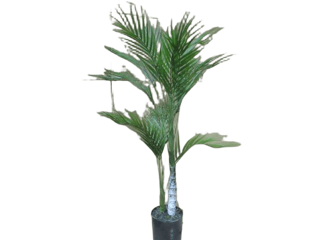 Artificial Flower 70cm Palm Tree X 2 Branches & 14 Lvs In Plastic Pot(Pot Size:d125 X H115mm)