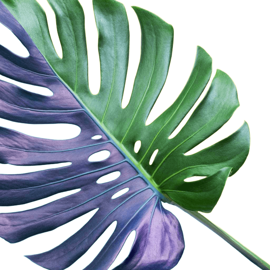 Frame 4mm Tempered Glass Leaf Greem,yellow,purple