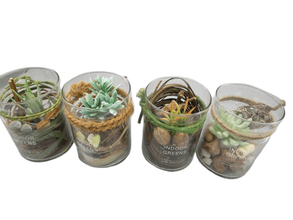 Artificial Succulent Plant In Glass Pot