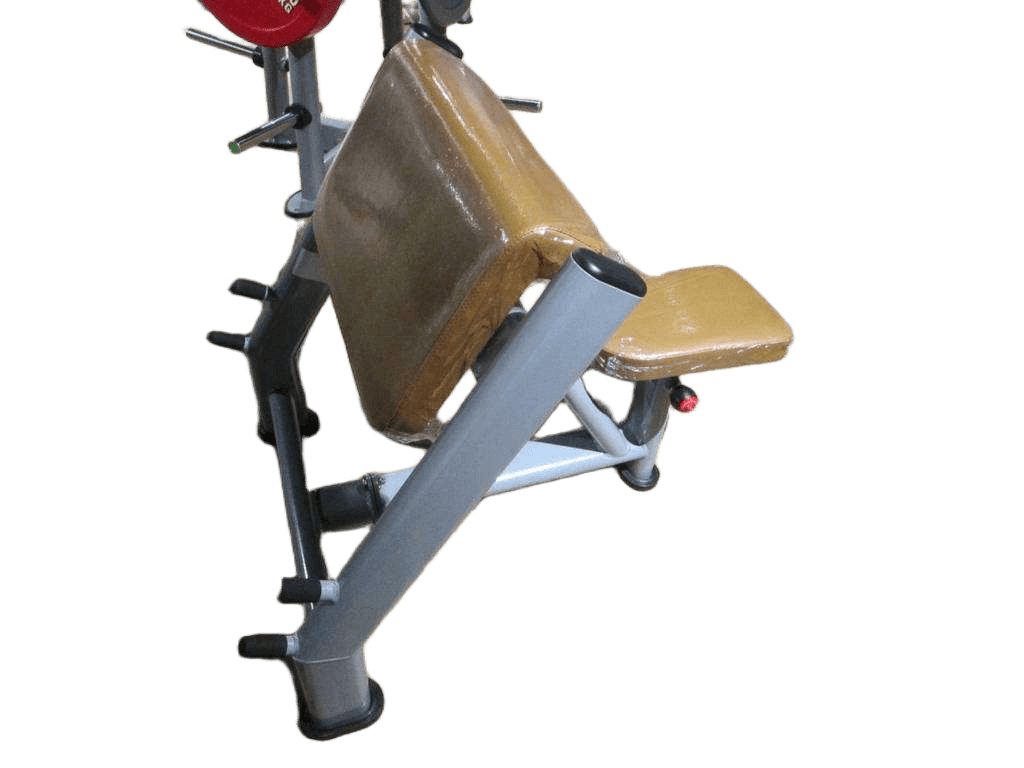 Seated Arm Curl Machine , Gym