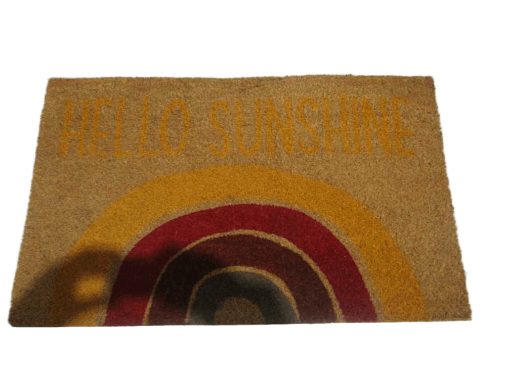 Doormat Printed With Pvc Back
