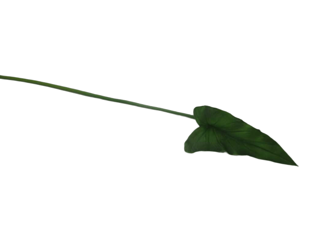 Artificial Pvc Middle Calla Leef