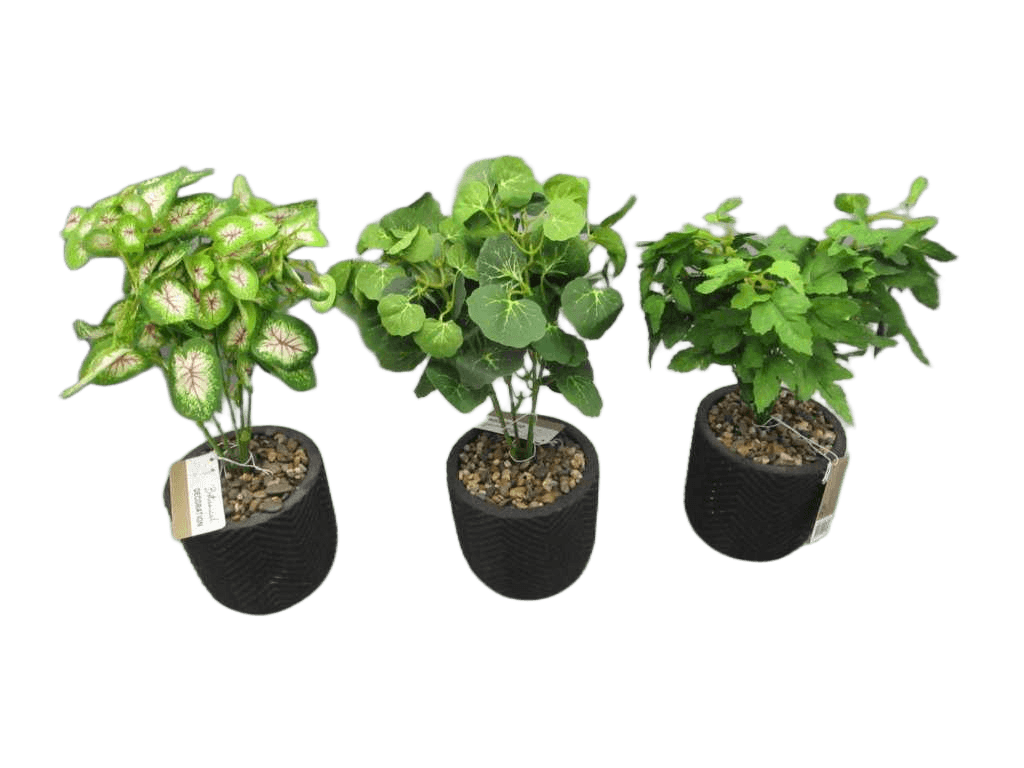 Artificial Plant In Pot 10x10x28cm 3ass