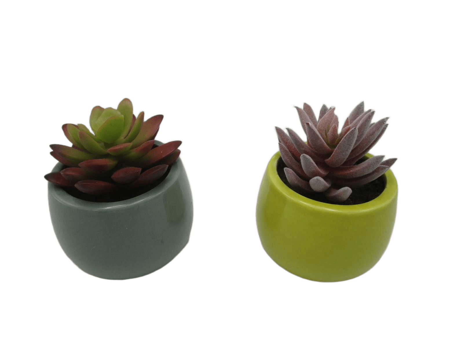 Artificial Succulent In Ceramic Pot