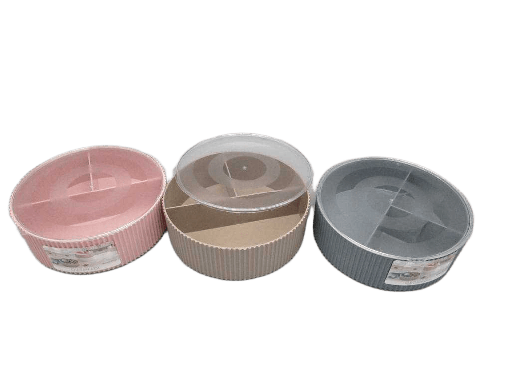 Organiser With Lid Ps 3ass Clr