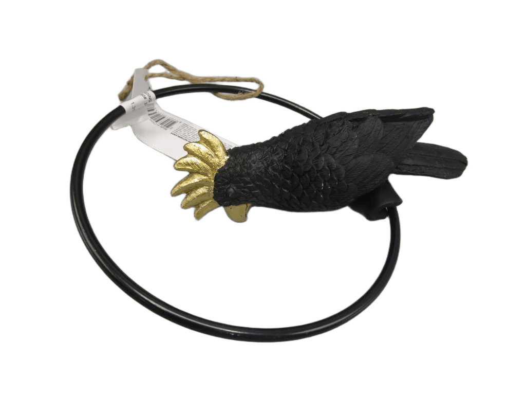 Parrot Standing Black