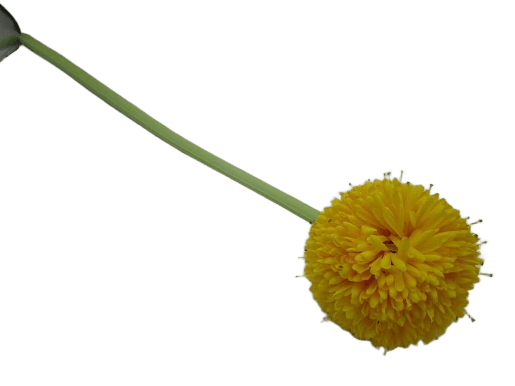 Artificial Flower Single Middle Daisy Ball
