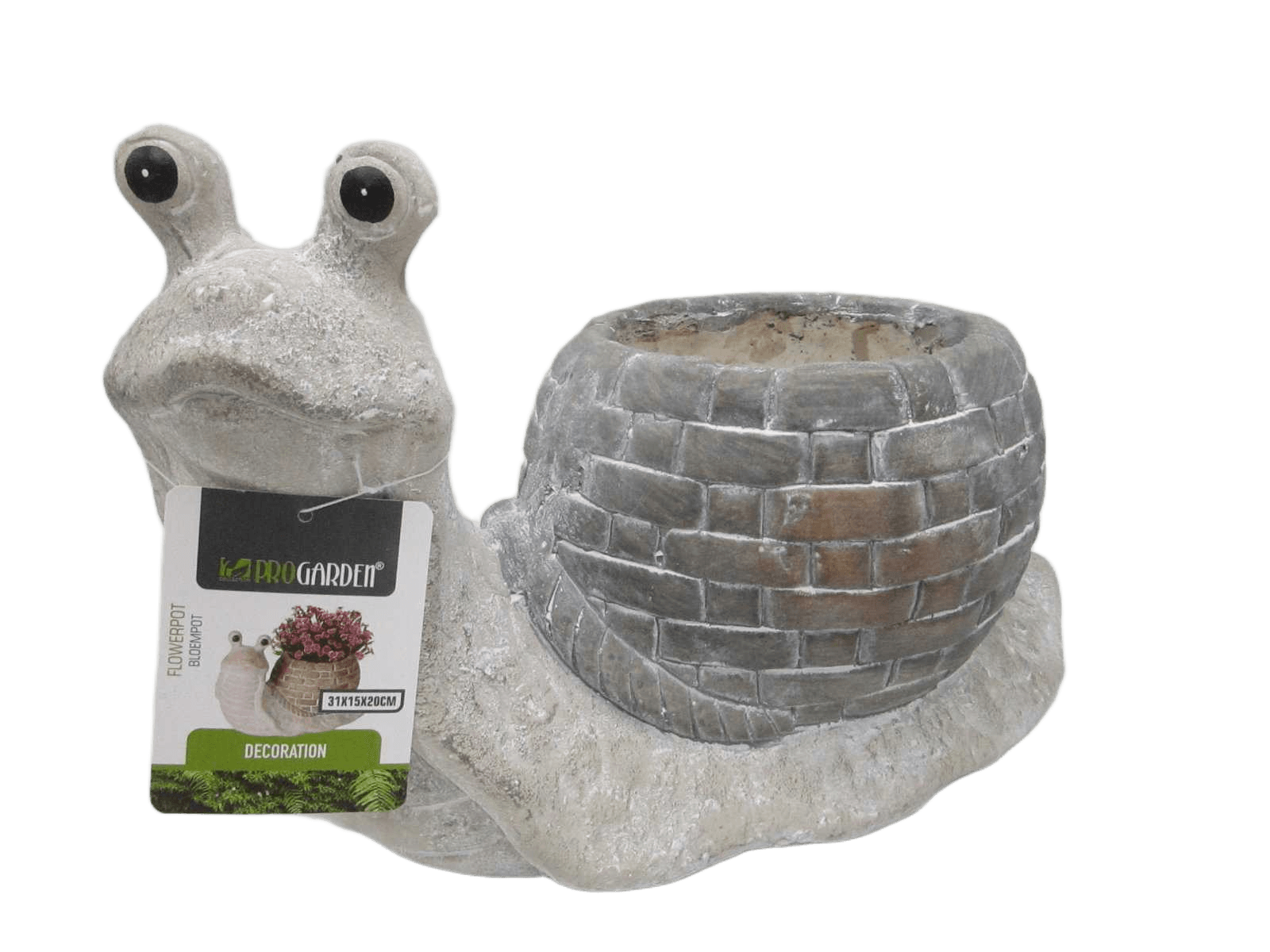 Flower Pot Snail 20cm
