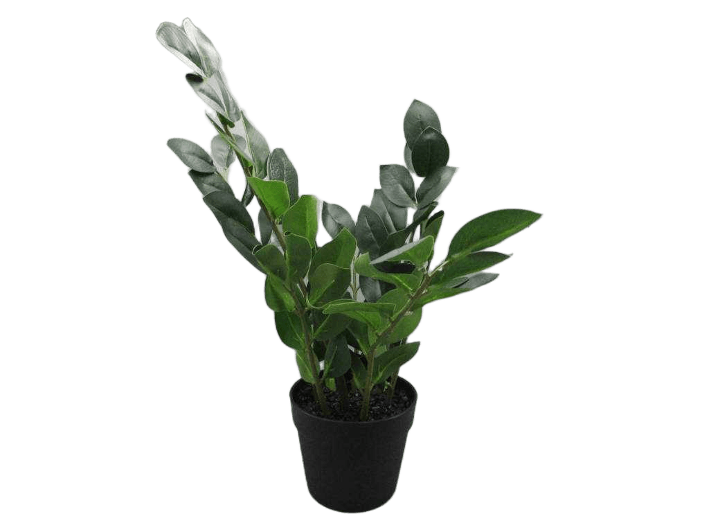 Artificial 55cm Real Touch Zamioculcas In Plastic Pot(Pot Size:d15 X H13cm)