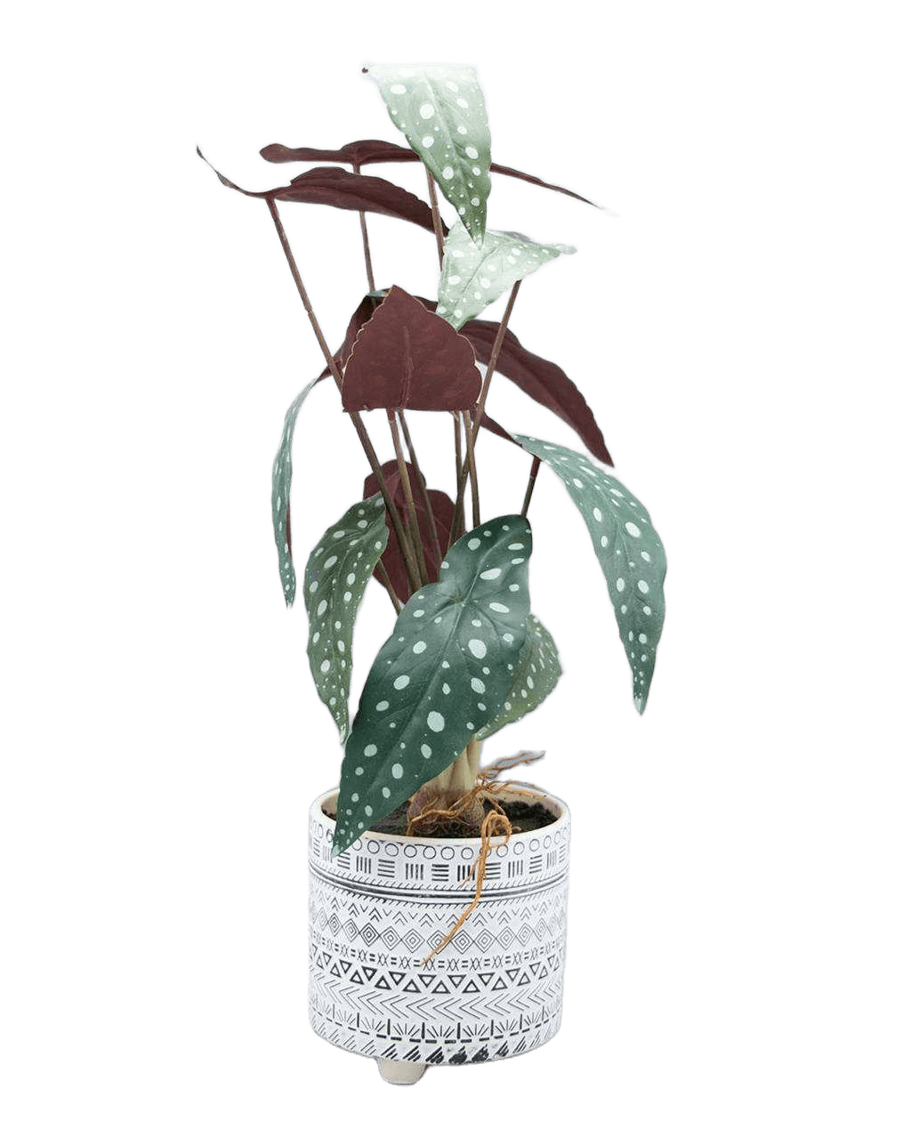 Artificial Philo In Pot 56cm