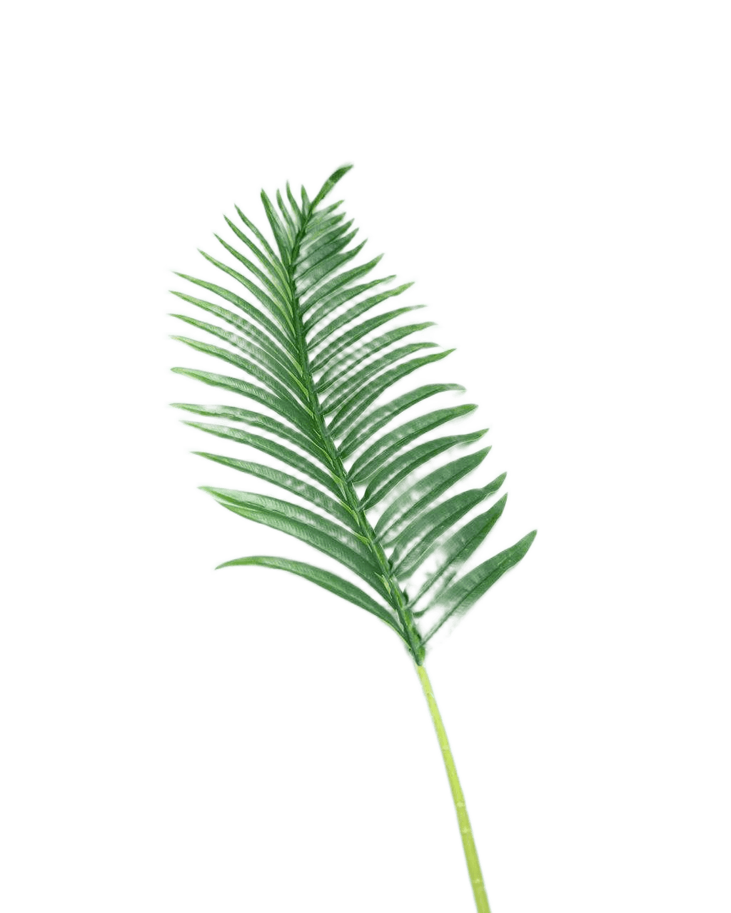 Artificial Real Touch New Palm Leeves Green 100 Cm