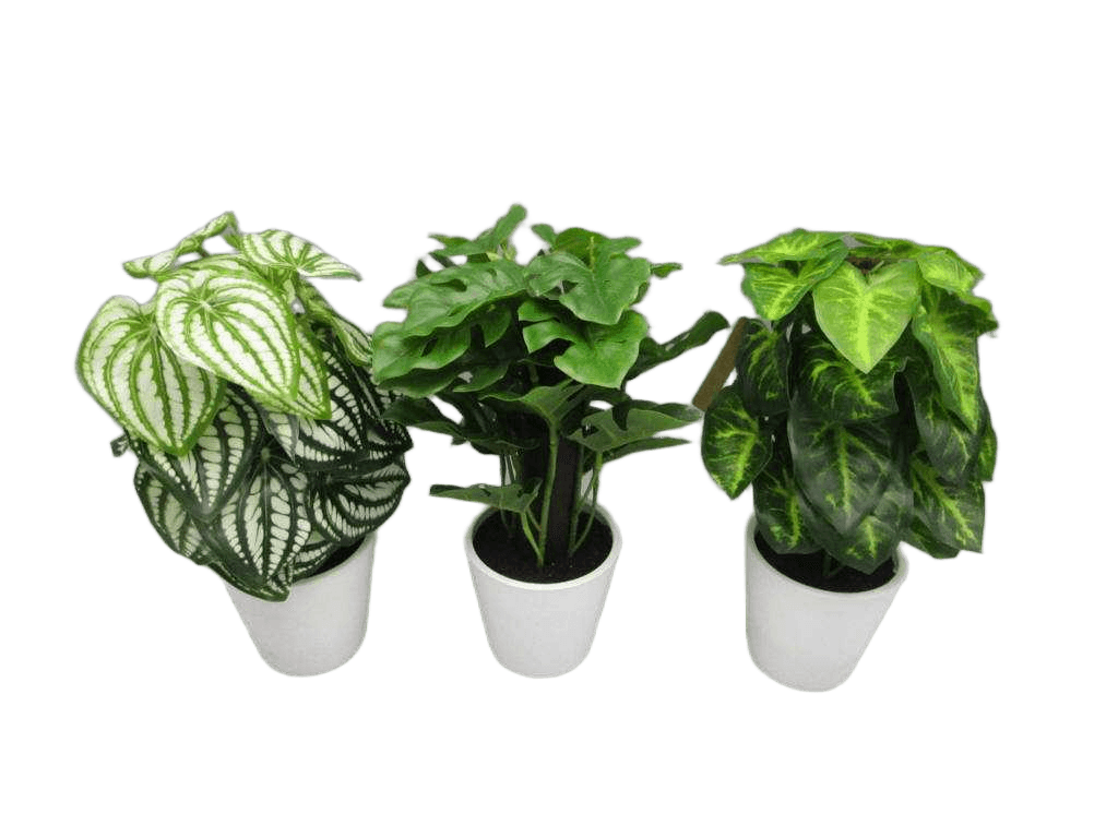 Artificial Plant H25cm 3ass 1cl=