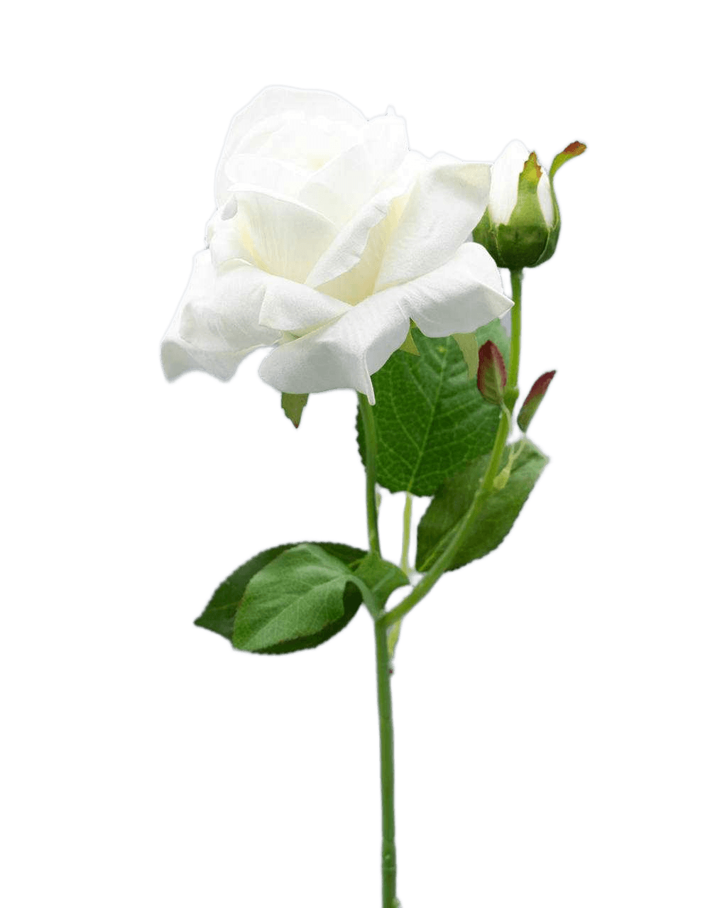 Artificial Flower Rose 2 Heads Middle Velvet Rose White 58 Cm