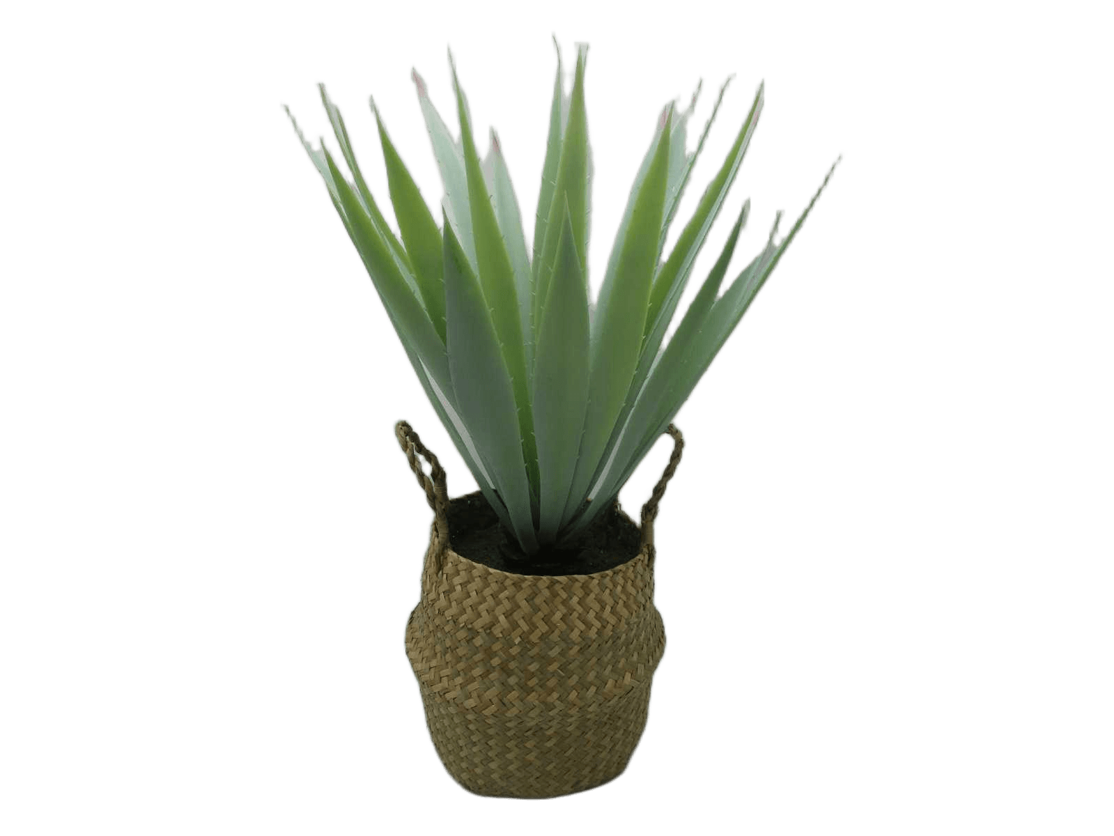 Artificial Aloe In Basket